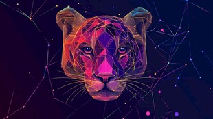 科技感多边形猎豹头像