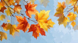 秋日枫叶枝头美如画