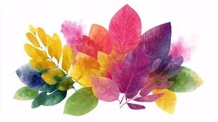 缤纷水彩树叶插画