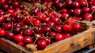 木盒中的新鲜红樱桃