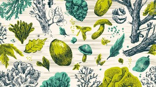 森林植物手绘插画图案