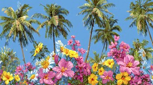 热带花卉与棕榈树美景