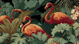 火烈鸟漫步于热带植物间