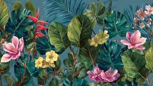 热带花卉绿植绚丽图景