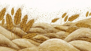 金色麦浪 丰收的希望