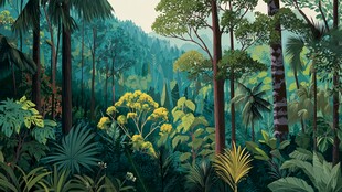 茂密热带雨林景观插画