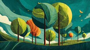 梦幻森林风景插画