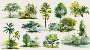 水彩风格多样树木插画集
