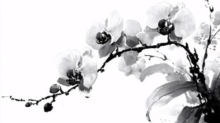 水墨兰花图