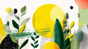 抽象绿植与几何元素插画