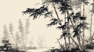 水墨竹林 清幽山水意境