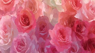 浪漫粉色玫瑰花卉背景图