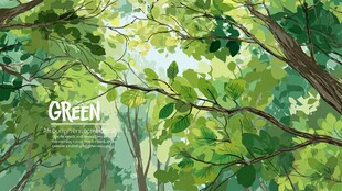 清新森林绿意盎然景象