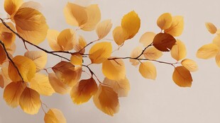 秋日金黄树叶特写