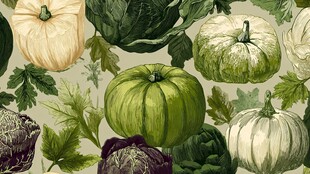 南瓜卷心菜等蔬菜手绘图案