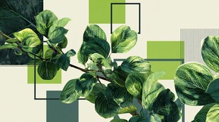 绿叶几何图案装饰背景