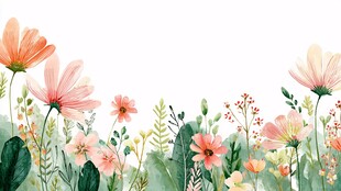 手绘清新花卉植物边界图