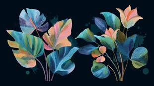 梦幻多彩热带植物插画