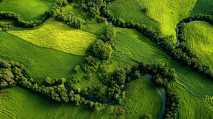 空中俯瞰葱郁田园风光