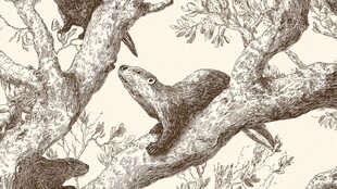 松鼠栖于树枝手绘图案