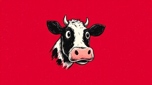 卡通奶牛头像 红色背景