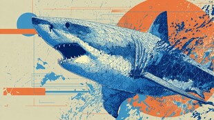 鲨鱼插画 动感抽象海洋元素