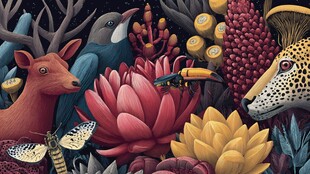 奇幻丛林中的动物与花卉