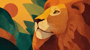 狮之风采 自然中的王者