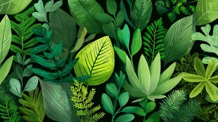 清新绿叶植物无缝背景图