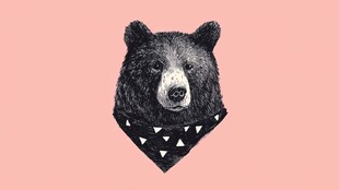 戴三角巾的可爱黑熊头像