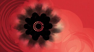 红色抽象花朵艺术图案