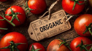 有机西红柿摆于古朴木面