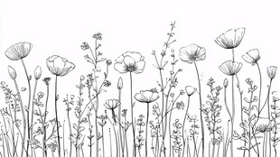 手绘花卉植物线条插画