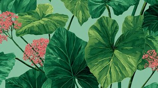 热带绿植花卉图案背景