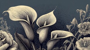 复古风马蹄莲花卉插画