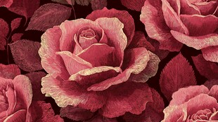 复古风粉色玫瑰花图案