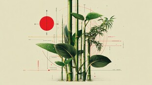 几何风格下的绿植组合