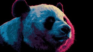 赛博朋克风熊猫头像