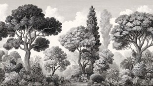 黑白森林景观图