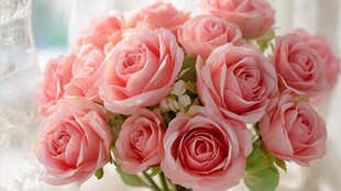 粉色娇艳玫瑰花束特写