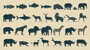 多样野生动物剪影集合