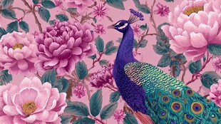 孔雀栖于繁花间的唯美图景