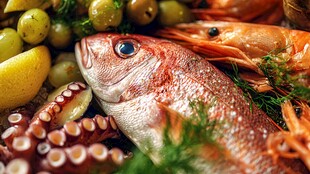 新鲜海鲜组合 色彩诱人