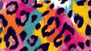 多彩豹纹图案背景纹理