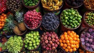 多彩水果大集合