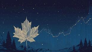 夜空中的璀璨枫叶美景