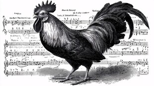 公鸡立于乐谱之上