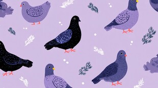 紫色背景上的鸽子与植物图案