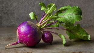 紫皮芜菁带绿叶静物图