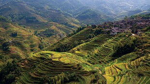 壮美梯田景观 山间村落点缀